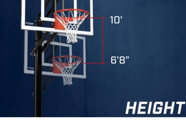 How High Is a Basketball Net