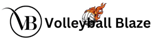 Volleyball Blaze LOGO